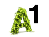 A1.net Privat