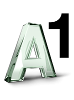 A1 Beratungs-Service