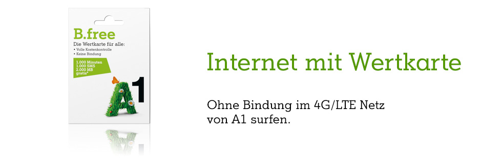 Internet mit Wertkarte  A1.net